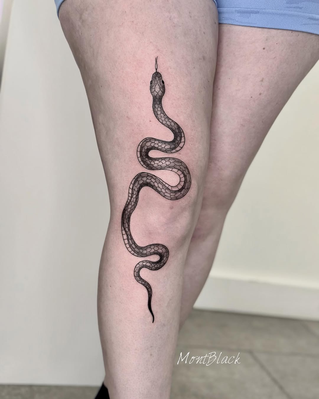 Dragon, 체인, 전통 매듭, Snake, 지네