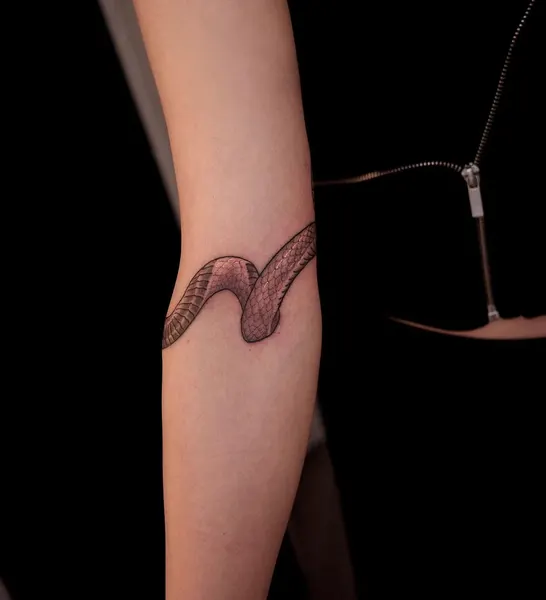 Dragon, Snake