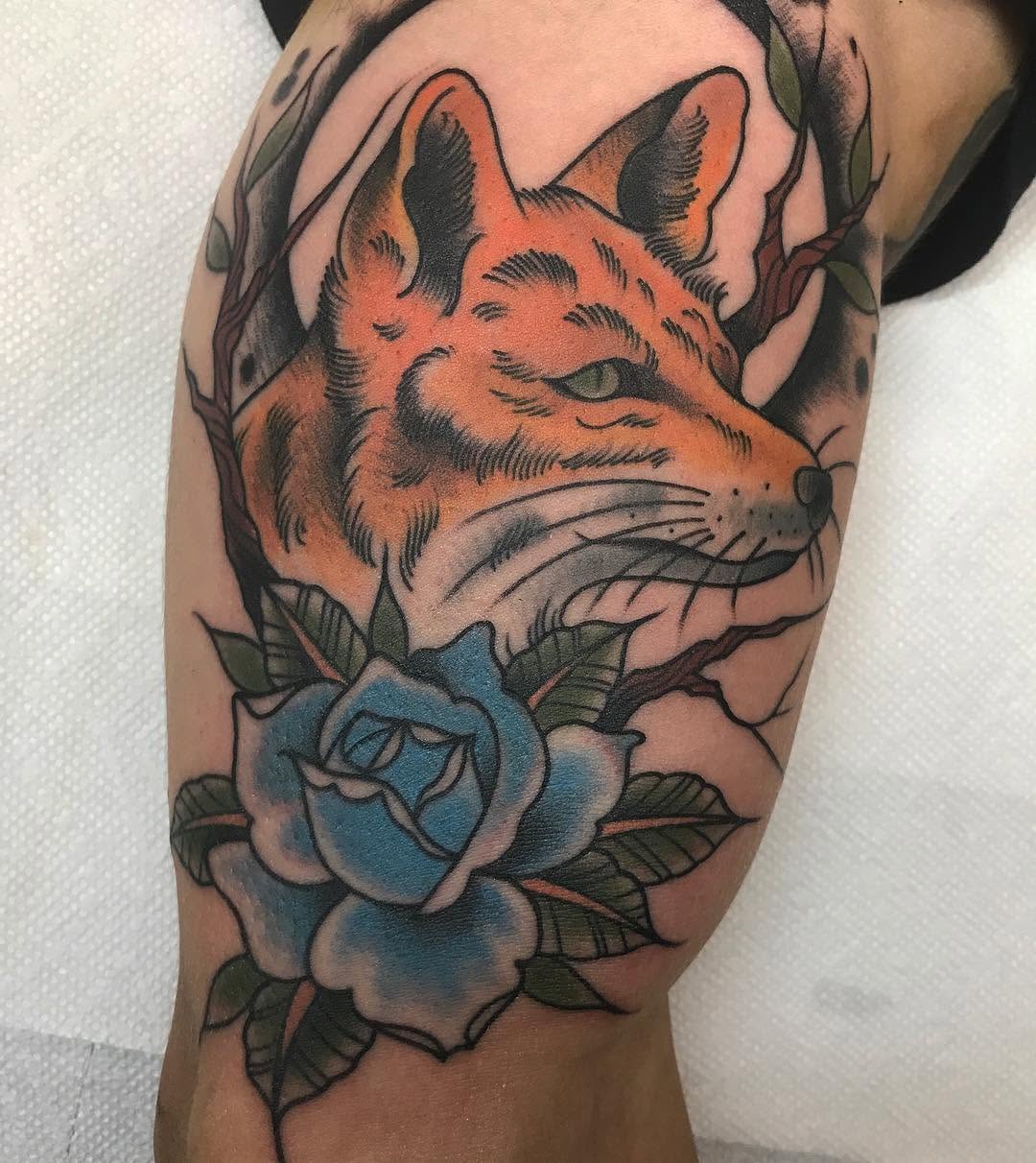 Animal