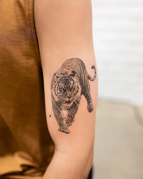Tiger, 팬서, 재규어