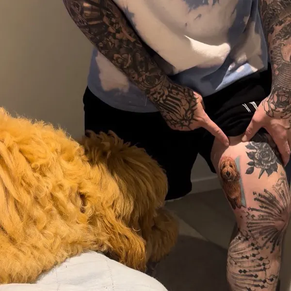 Animal