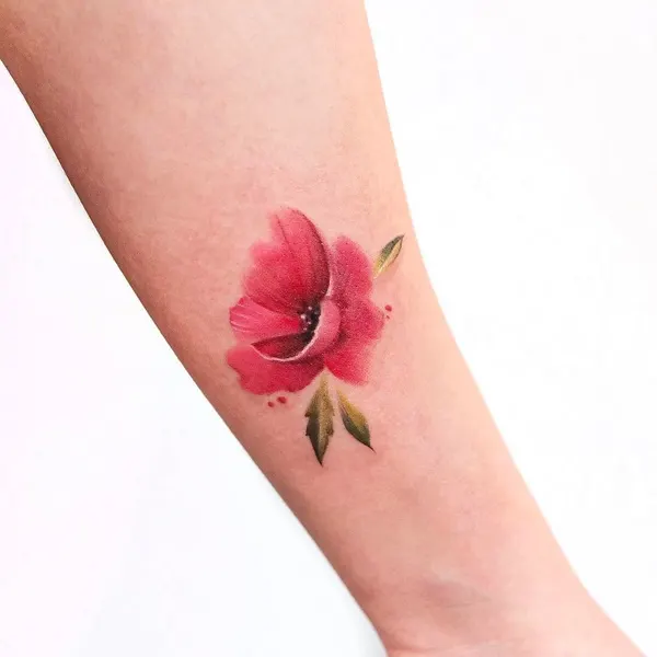 Flower, Rose, 양귀비