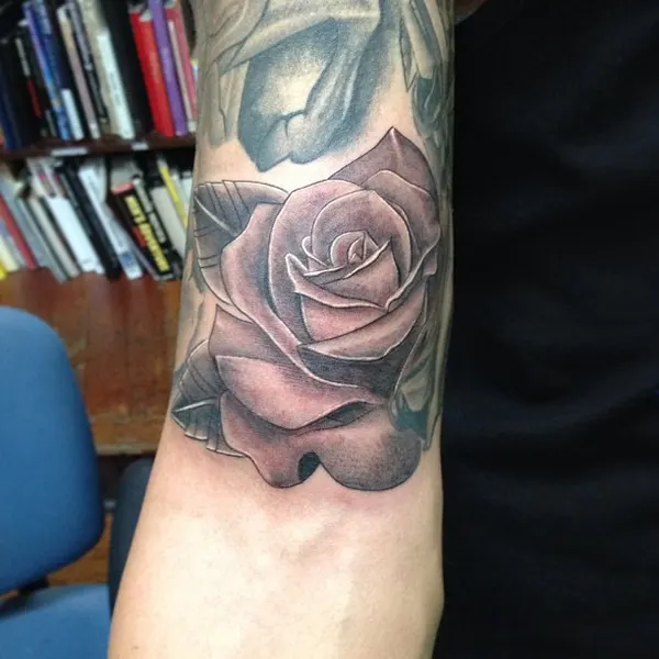 Flower, Rose