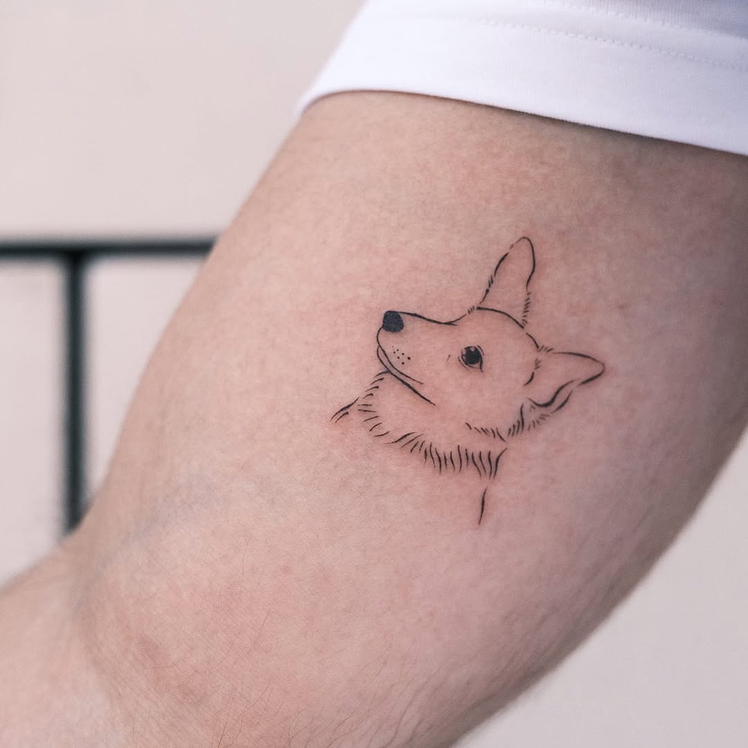 Animal