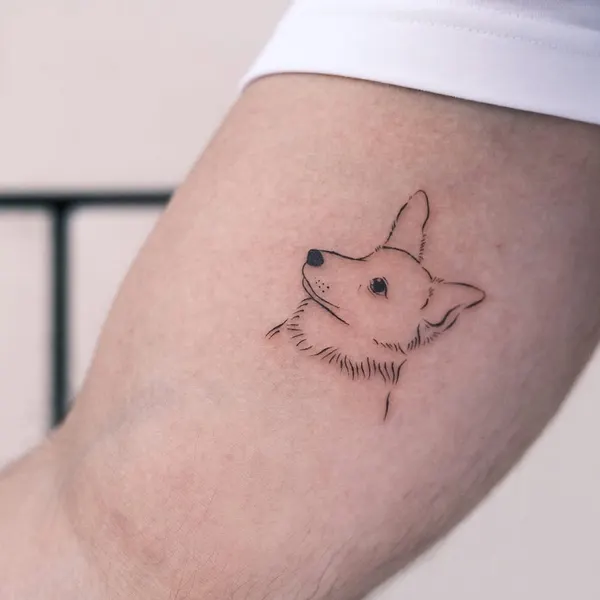 Animal