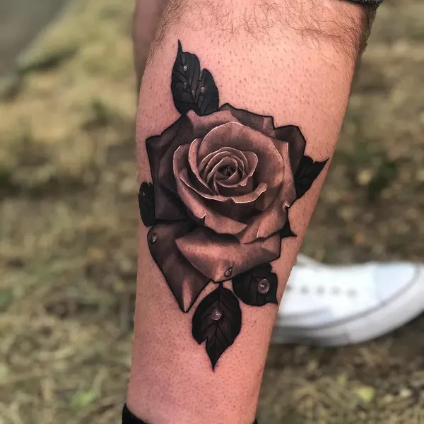 Flower, Rose