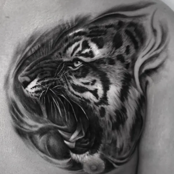 Tiger, 일본 호랑이, 중국 호랑이, 한국 호랑이