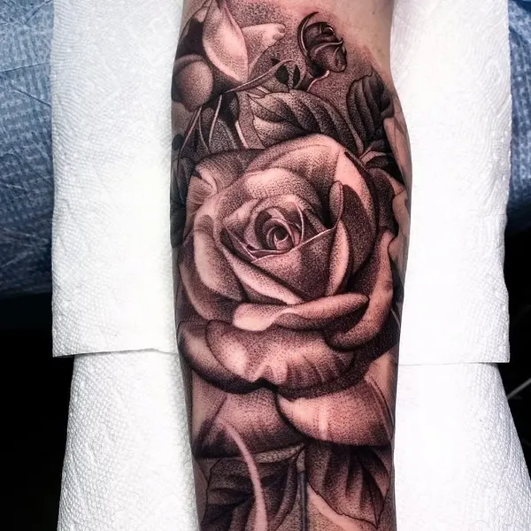 Flower, Rose