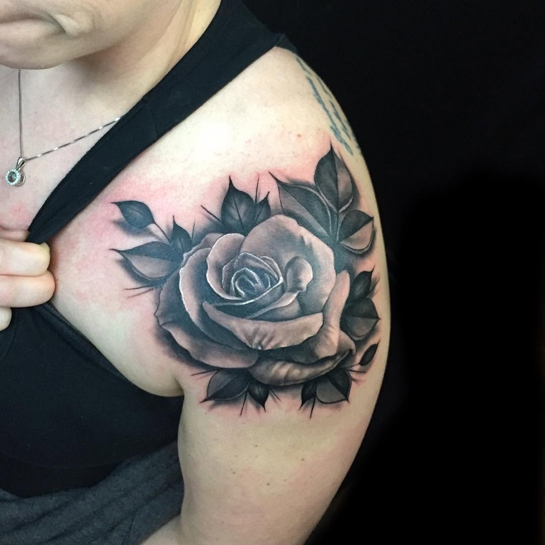 Flower, Rose, Nature