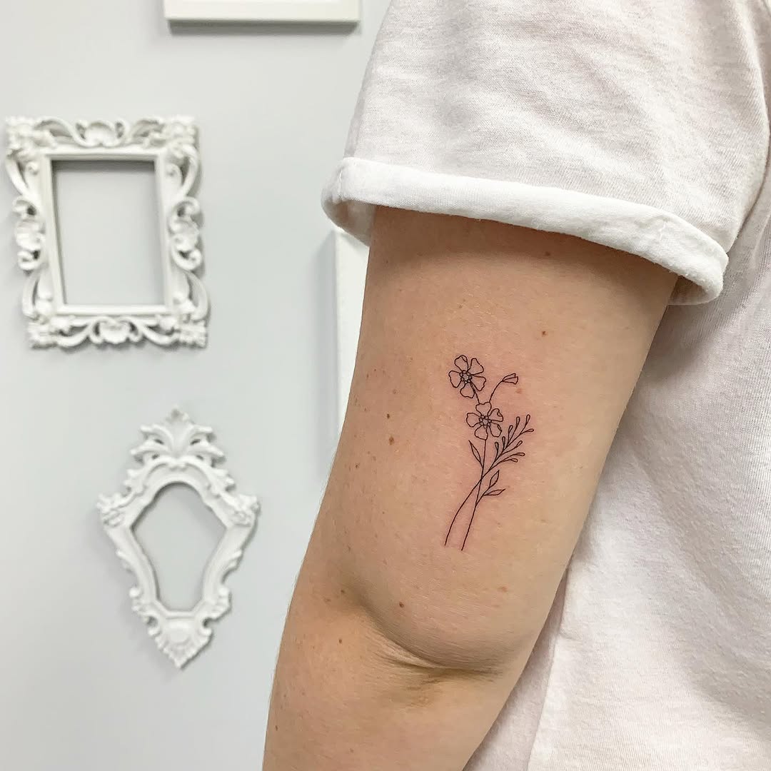 Lettering, 사수자리, 염소자리, 물고기자리, 쌍둥이자리