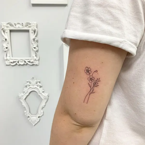 Lettering, 사수자리, 염소자리, 물고기자리, 쌍둥이자리
