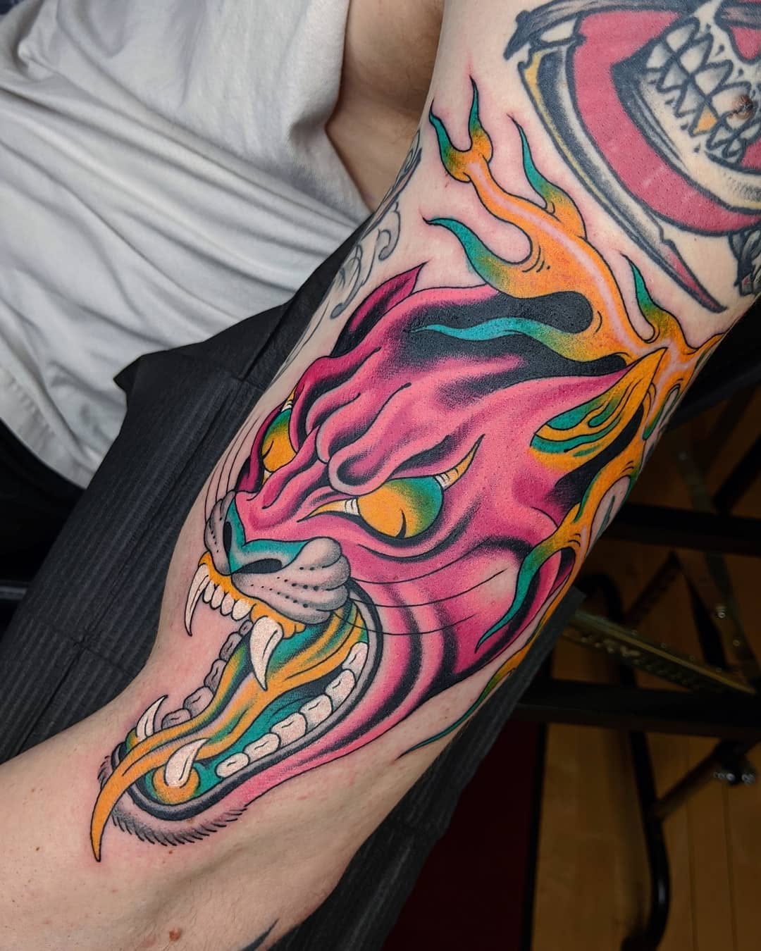 Tiger, Animal