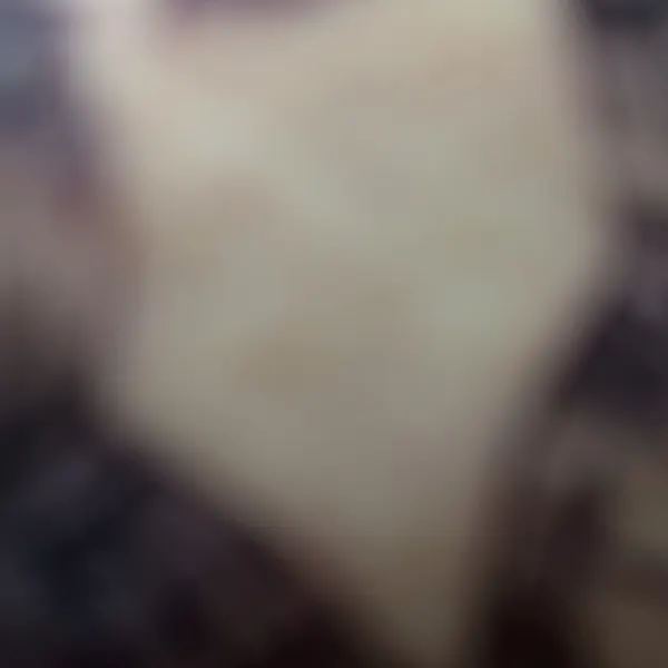 기사