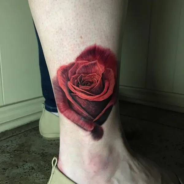 Flower, Rose