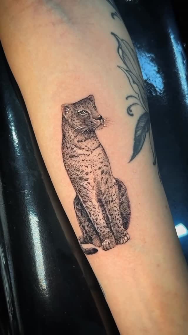 Animal, Tiger, 여우 가면