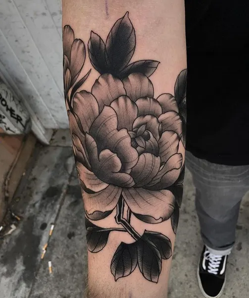 Flower, Rose