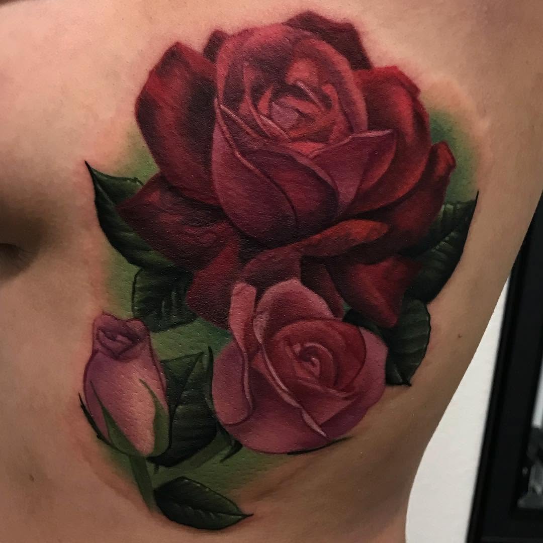 Flower, Rose, Nature