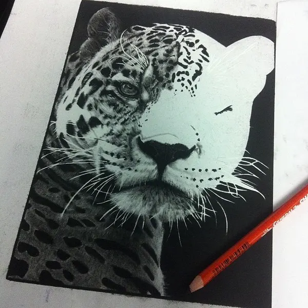 Animal