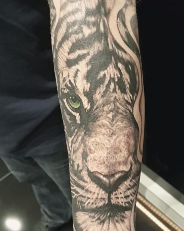 Tiger