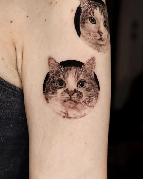 고양이