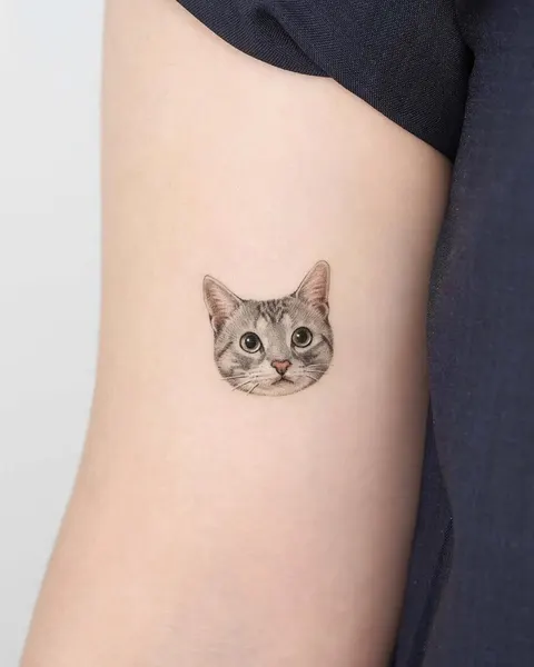 고양이, 마네키네코, 여우 가면