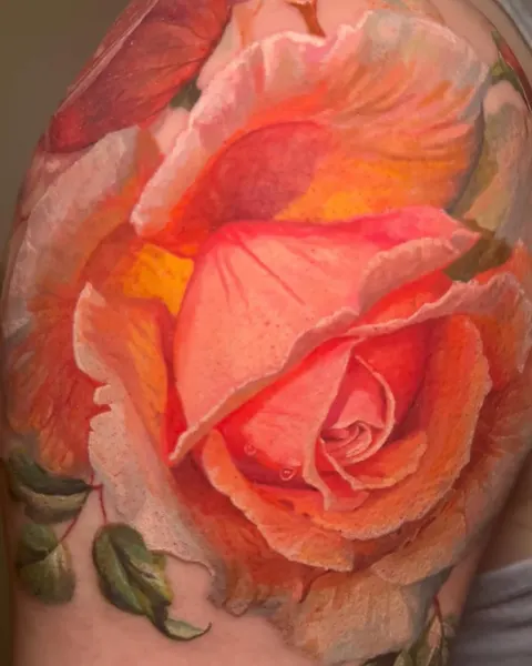 Flower, Rose, Nature