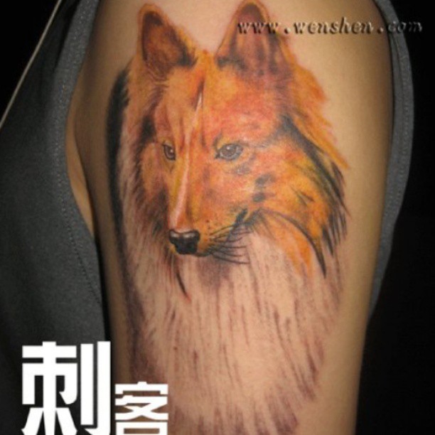 여우, Animal