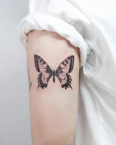 Animal, Nature, 나방, 나비, 동백꽃