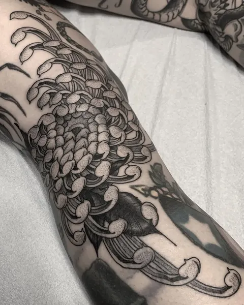 Flower, Rose, 석류, 레몬, 포도