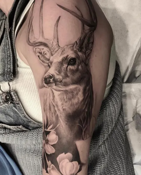 사슴, Animal