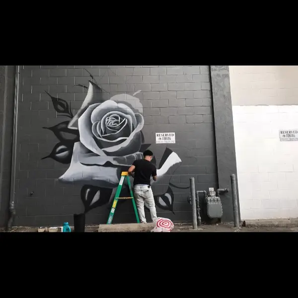 Flower, Rose