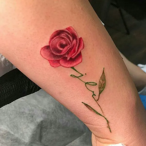 Flower, Rose