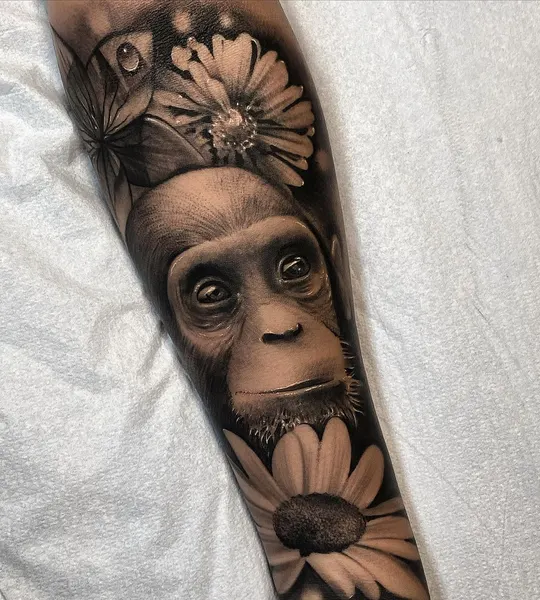 Tiger, Animal, 원숭이