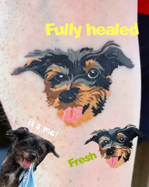 tattoo.joojoo