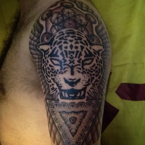Animal, Tiger