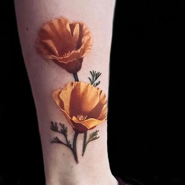 Flower, 튤립, 양귀비