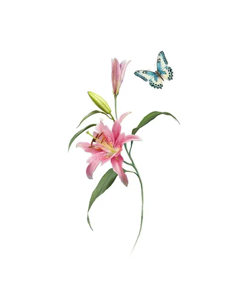 Flower, 난초