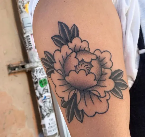 Flower, Rose