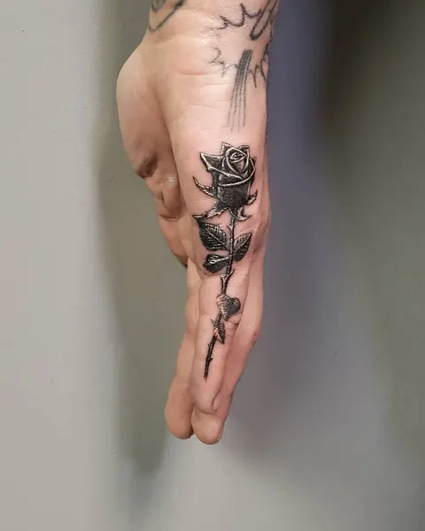Flower, Rose