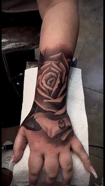 Flower, Rose