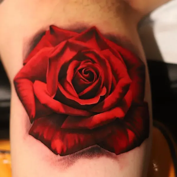 Rose, Flower
