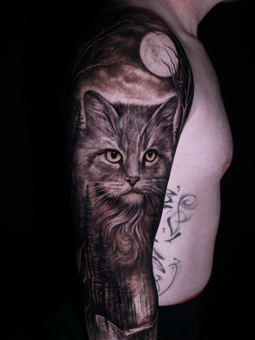Animal