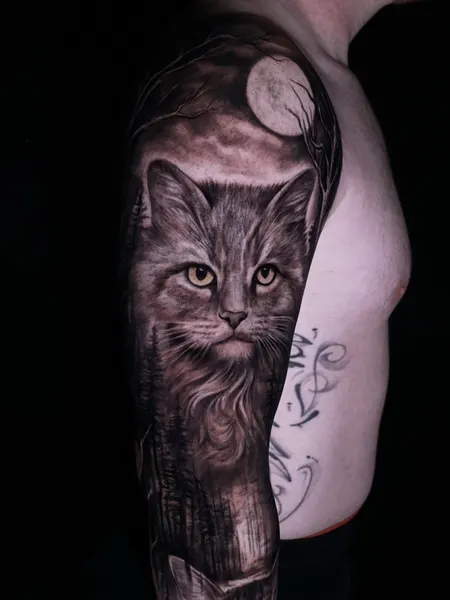 Animal