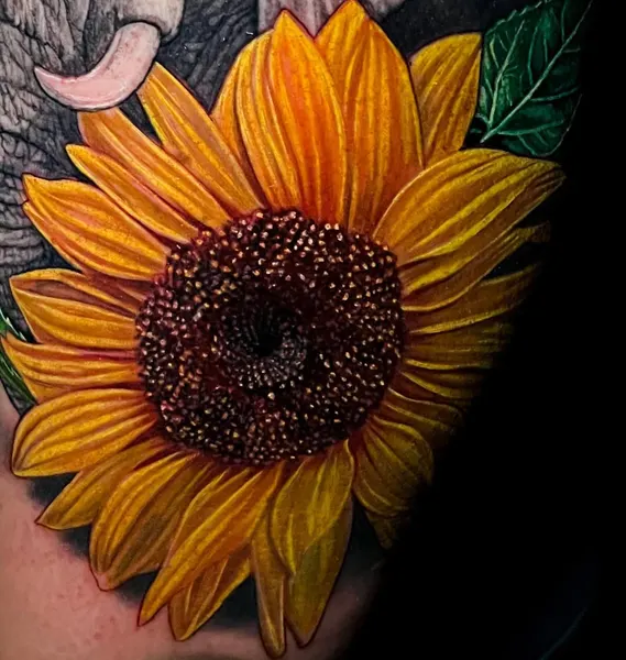 Flower, 해바라기