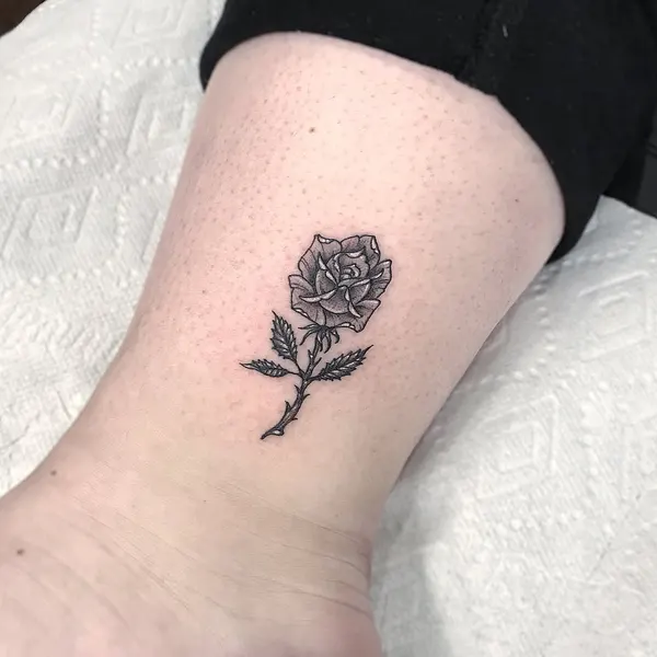 Flower, Rose