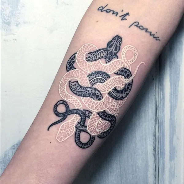 체인, Snake