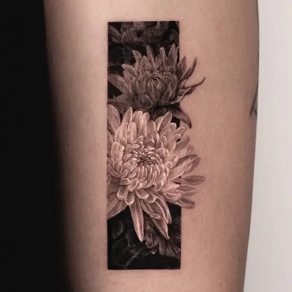 Tiger, Flower, Animal