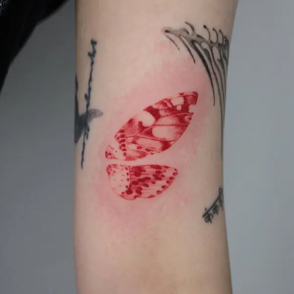 Animal, Nature, 눈물, 단검