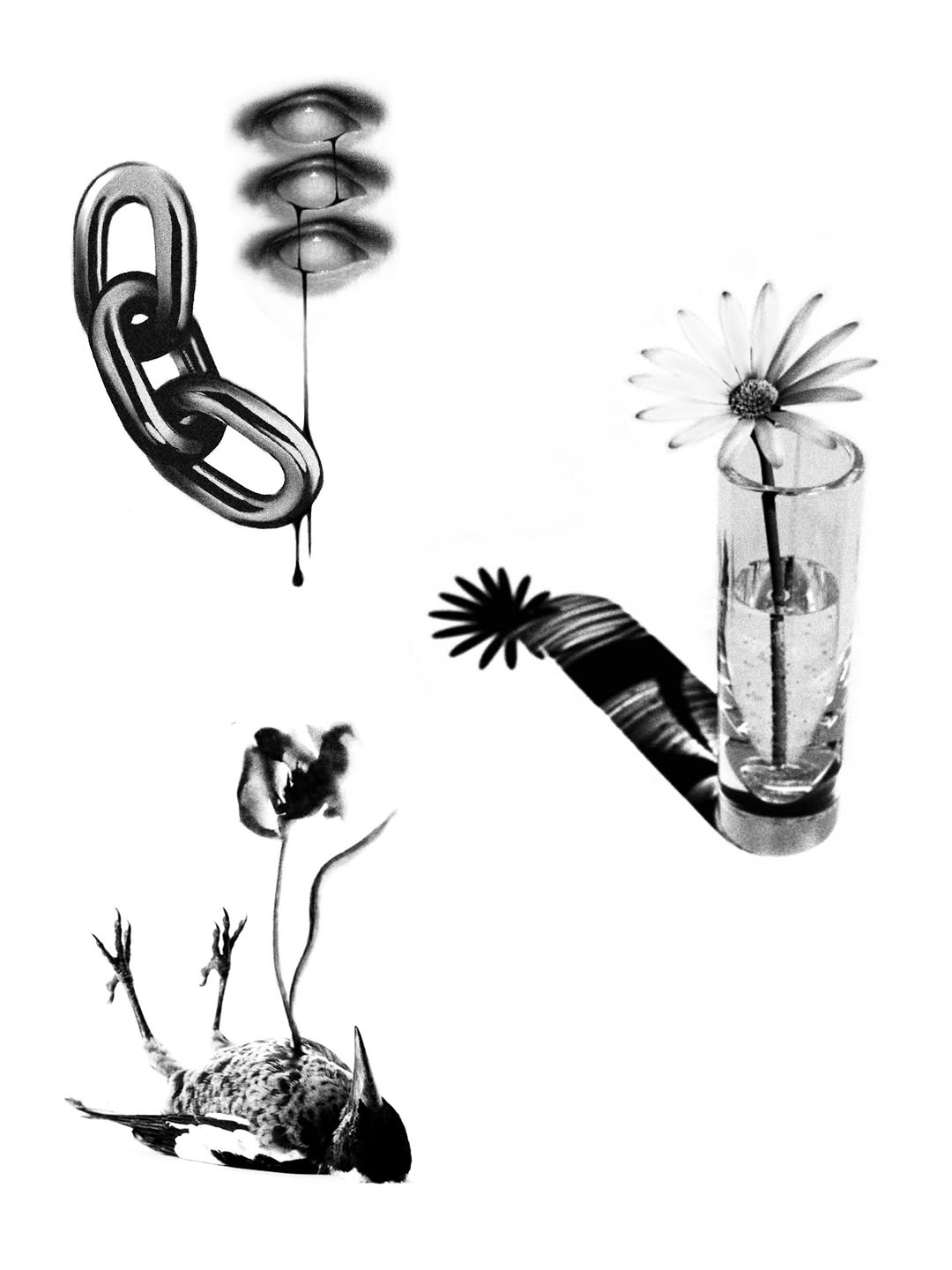 plantsnpokes