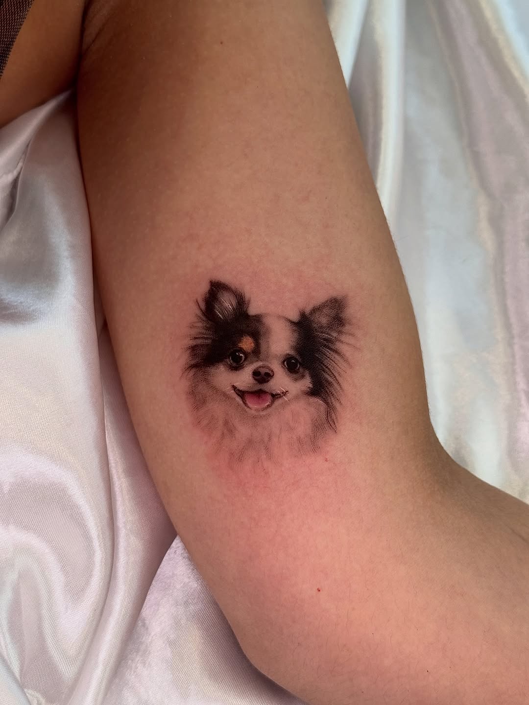 반려동물